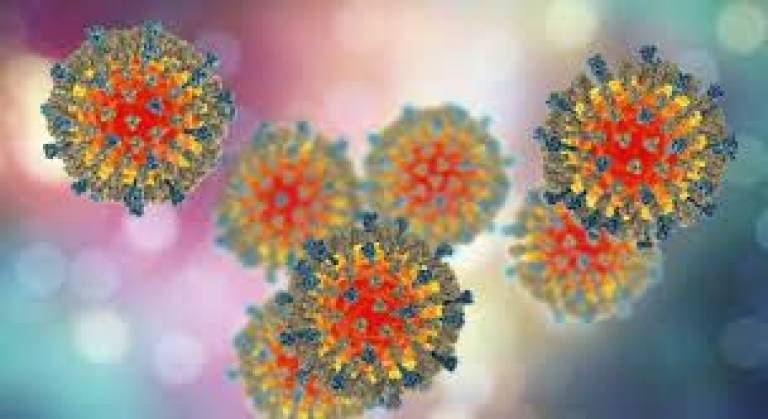Orange County Health Department: Five confirmed cases of measles