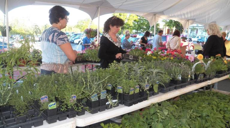 Plant sale (Facebook photo)