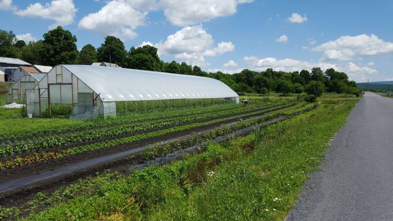 Greenhouses at Sun Sprout Farm (Photo provided)