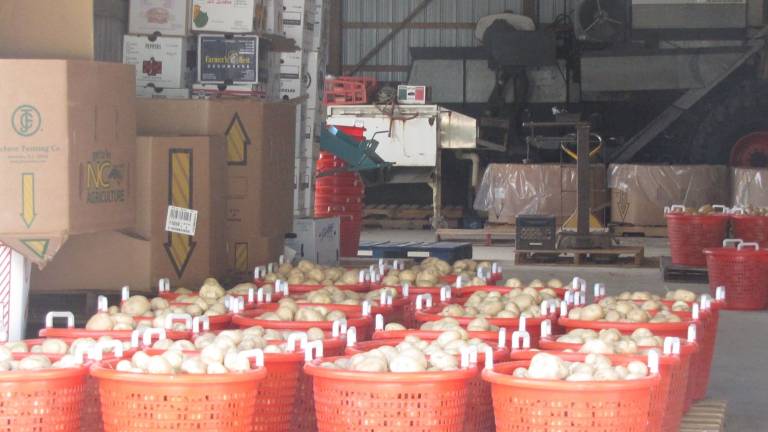 Bountiful fields help Irene-devastated farms recover C. Rowe and Sons in Campbell Hall is having a banner year as well, with high-quality hay, corn, and other vegetables.