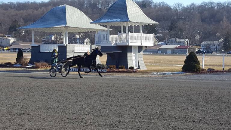 New spa at Historic Track soothes and pampers hard-working horses A Standardbred exercises at the Historic Track (Photo by Vicki Botta)