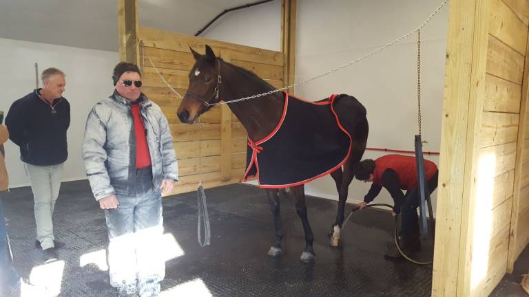 New spa at Historic Track soothes and pampers hard-working horses Janice Connor hoses down her filly's legs after the treatment (Photo by Vicki Botta)