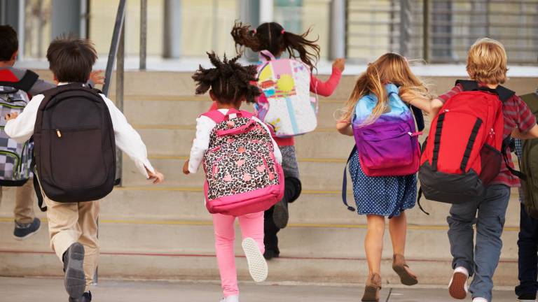 NY schools first to have 'red flag' petition power on guns NY schools first to have 'red flag' petition power on guns