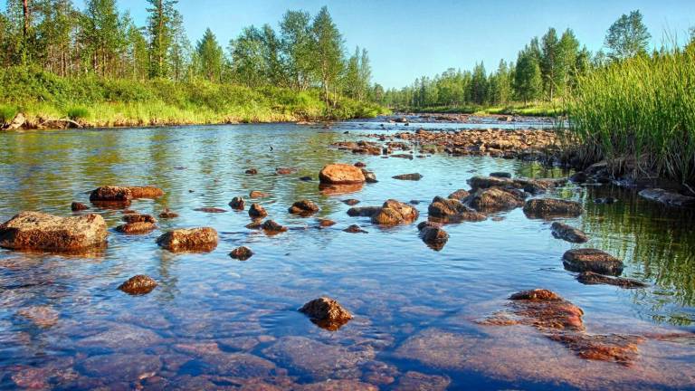 'New York can’t sit back while our clean water is under threat' 'New York can’t sit back while our clean water is under threat'