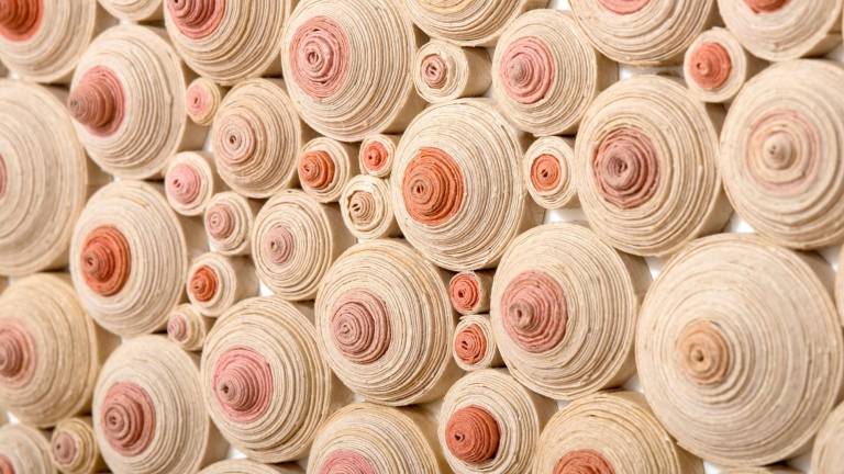 'The Uncommon Apron' takes on a socially and politically charged subject 'The Uncommon Apron' takes on a socially and politically charged subject