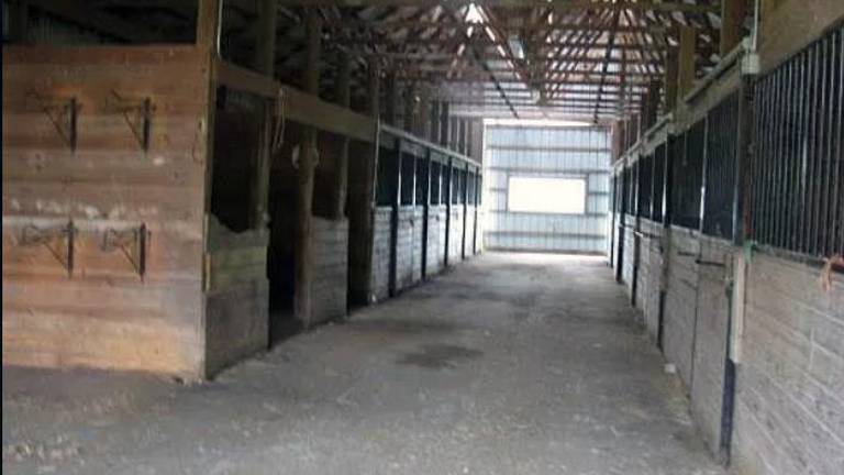 Jeanne Ryan's former horse farm selling for $380K Jeanne Ryan's former horse farm selling for $380K