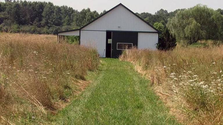 Jeanne Ryan's former horse farm selling for $380K Jeanne Ryan's former horse farm selling for $380K