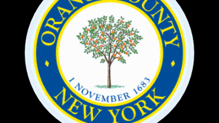 Two on the ballot for Orange County Executive: Neuhaus and Sussman Two on the ballot for Orange County Executive: Neuhaus and Sussman