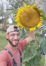 It may not break a world record but Giuseppe Pirrone at 501 Liberty Corners Road in Pine Island grew this sunflower and he believes it has the biggest sunflower head in the Warwick Valley. “I’m sure there’s been a lot bigger,” said Pirrone. “The record I believe is 31 inches and this is only 12 inches.” Provided photo.