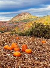 Sugar Loaf Mountain