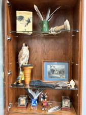 Goshen. Falconer display at the public library