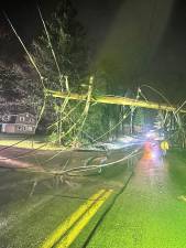 On April 16, officers responded to Knoell Road following reports of a large tree that had fallen across the roadway.