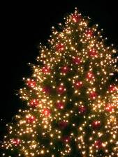 Historical Society hosts annual tree lighting event