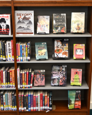 K-Pop-inspired collection at the Goshen Public Library.