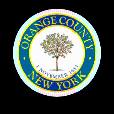 Two on the ballot for Orange County Executive: Neuhaus and Sussman