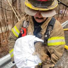 A Monroe Fire Department firefighter carrying a cat wrapped in a blanket. Photo provided.