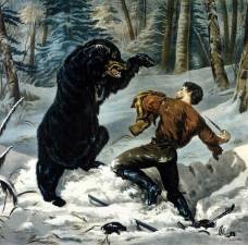 An illustration of Nathaniel Knapp fighting a bear.