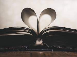 Library Roundup