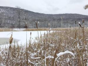 Wallkill River National Wildlife Refuge