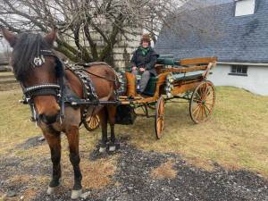Alanna Bodman and horse Duncan are ready for a brisk walk, towing a four-seat wagonnette.
