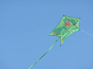 Kids &amp; Kites Day at Washington Headquarters