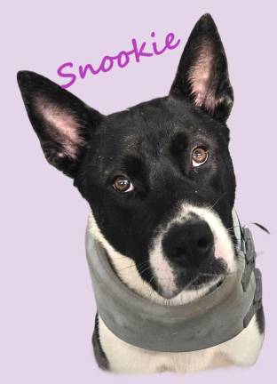 Meet Snookie