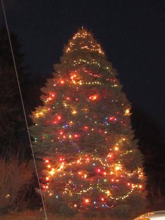 The tree is lit! (Photo by Ginny Privitar)