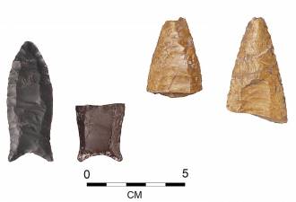 Complete fluted point (left) and three fluted point fragments from the Dutchess Quarry Caves archaeological site, Orange County. Made of chert (flint), these stone points tipped Ice Age hunting weaponry.