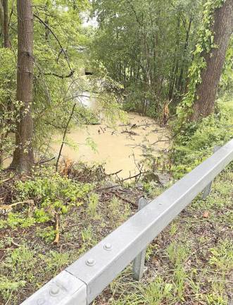 This small stream passes under Route 94 near Conklingtown Road. The stream is now turbid due to excessive runoff.