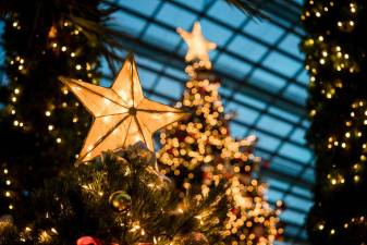 Goshen Village PBA announces annual Christmas tree sale