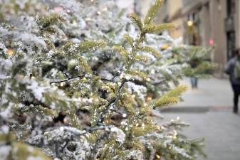 Village of Goshen PBA Christmas tree sale begins Nov. 25