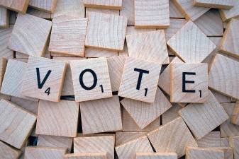 Village of Goshen elections will be held on March 18.