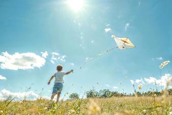 Access pollution forecasts