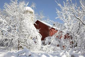 A photo of a barn and silo partially concealed by the snow covered trees along Millers Lane in Warwick on Tuesday morning.