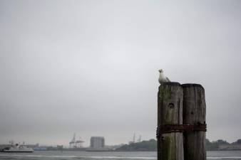 ‘Water Connects Us All’ poster contest announced