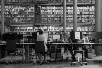 Library Roundup
