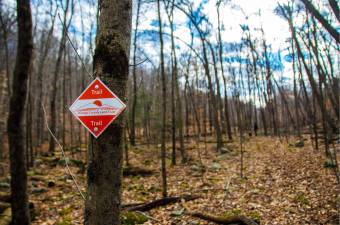 Naturalist Gary Keeton will lead a guided hike to the scenic overlook at Fuller Mountain Preserve on Saturday, Sept. 28, from 10 a.m. to 12:30 p.m.