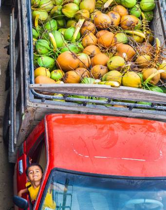 This is a photograph by Star Nigro entitled “Coconut Portrait,” taken in Muisne, Ecuador.