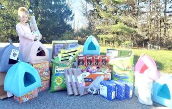 Charlotte Neuhaus, the eight-year-old daughter of Orange County Executive Steve Neuhaus, dressed up for Halloween as Laura Ingalls and collected more than $500 to purchase much needed supplies for the Warwick Valley Animal Shelter. Provided photo.