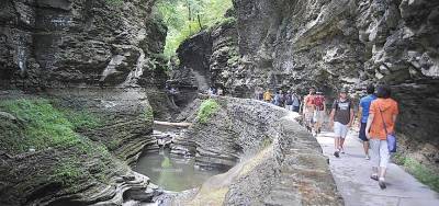 Watkins Glen