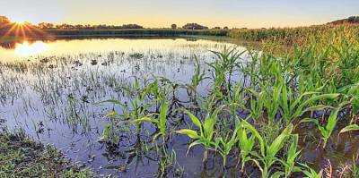 Farmers devastated by severe weather in 2019 now have access to federal recovery funds