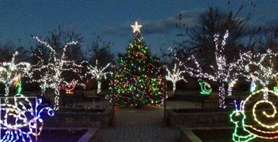 “Holiday Lights in Bloom” from previous years.