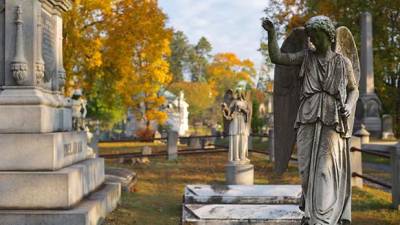 Find a great graveyard tour