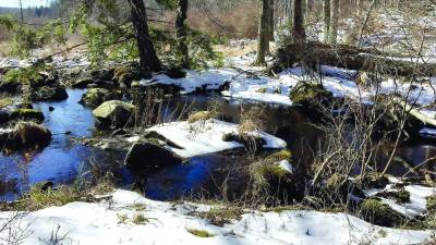 Woods and water take on a different beauty in winter.