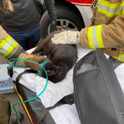 Monroe firefighters, along with Monroe EMS Captain and First Lieutenant, providing oxygen to a cat rescued from the fire. Several area fire departments responded to the blaze, pulling cats from the home while putting out the fire. Photo provided.