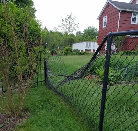 “Damage that one caused to our backyard fence! There are so many this year.” - West Milford resident Kim Tolnai.
