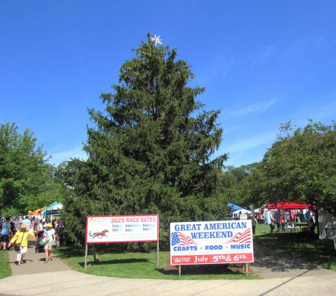 Harness Racing and the Great American Weekend