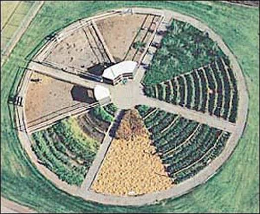 Pizza farm sales