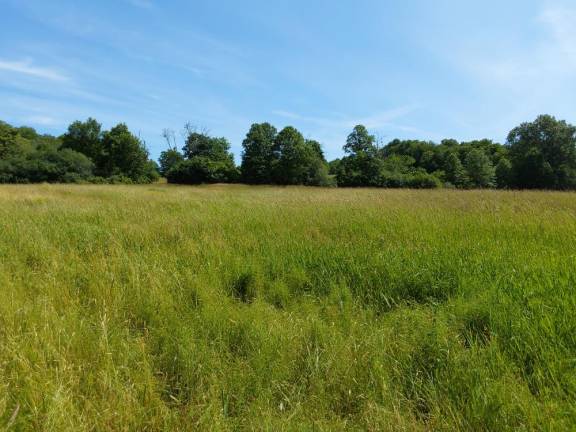 New conservation agreement protects 179 acres in Goshen, Chester