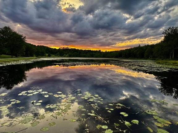 The winning image in the Landscape category, photographed by Jane Biron in Wayne County, Pa.